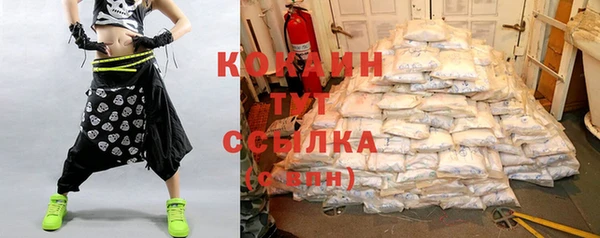 дмт Новодвинск