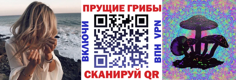 как найти наркотики  ОМГ ОМГ зеркало  Псилоцибиновые грибы прущие грибы  Энем 